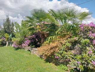 Residenza il Rododendro - 1