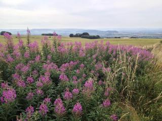 Cotswolds Retreat - Overbury - 3