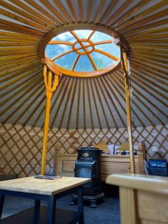 Sheviock Barton Yurt - Sheviock - 4