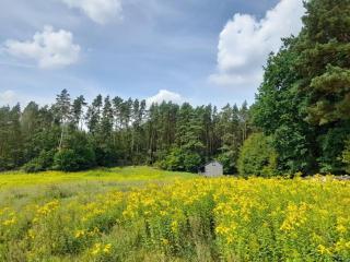 Domek letniskowy całoroczny nad jeziorem - Zbiczno - 5