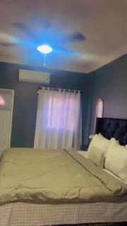 Wild Orchid Bloom-Blue Lemon - Mandeville - 1