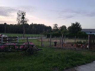 Agroturystyka Malary - Pogódki - 3