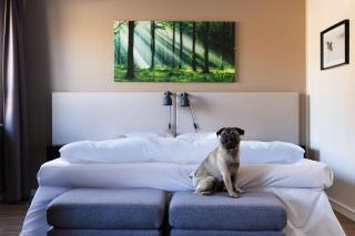 Lycksele Inn - Lycksele - 3