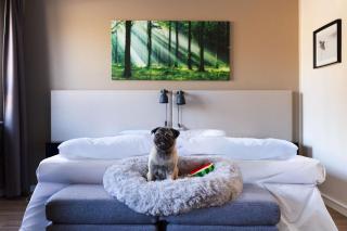 Lycksele Inn - Lycksele - 5