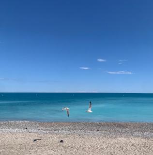 Studio chambre Hôte - 2