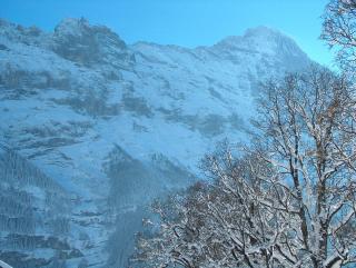 Hotel Gletschergarten - Grindelwald - 5