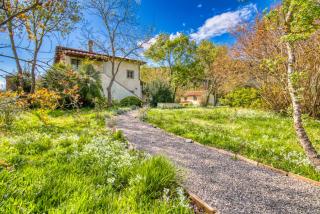 Villa Angiolina - Marina di Castagneto Carducci - 9