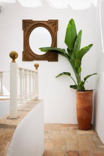 Casa Las Cuadras - Califa Casas Vejer - Vejer de la Frontera - 4