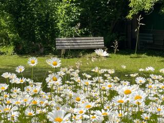 Home of gmiatlich - Ferien & Wohnen auf Zeit - Mühldorf - 5