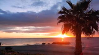 Floral Beach House - Manilva - 4