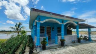 Izz Homestay Sawah Padi Sungai Besar ! - Kampong Parit Ten - 7