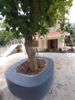 Vidhan homestay - Maraiyūr - 1