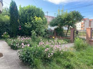 Artists Inn,sleeps 5, breakfast parking - - 3