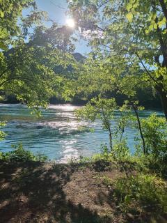 Flora&Fauna - Bihać - 7
