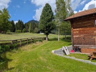 Nido del Brenta - Madonna di Campiglio - 8