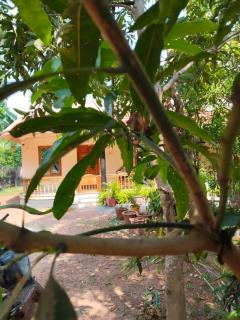 AS villa Homestay - 9