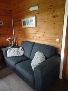 Fins Chalet op vakantiepark met zwembad - Gramsbergen - 5