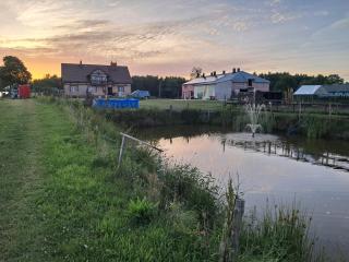 Agroturystyka Malary - - 8