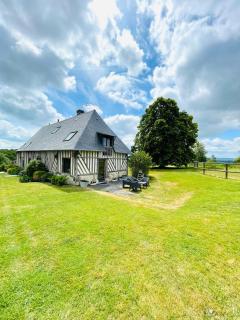Le gite Les crins de Nature - Le Mesnil-Simon - 9
