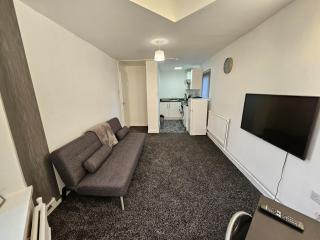Furnished 1 BR Apt in Liverpool - Liverpool - 3