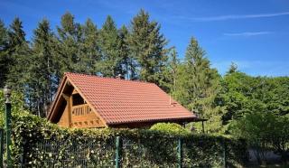 Ferienhaus Leonie, Holzhaus im Pfälzer Wald 76848 Hofstätten - - 5