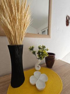 Vila Lučica apartman 2 pogled planina - Petrovac - 5