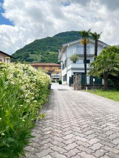 CASA MIMOSA The Green View Apartment - Domaso - 7