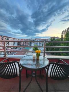 Detelinara - Novi Sad - 4