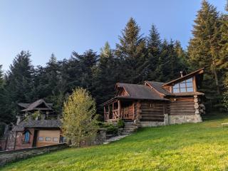 Forest House exclusive - Schidnyzja - 8