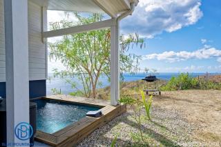 Blue Mountain Villa - Le Carbet - 3