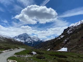 Alp Es-Cha Dadour - Madulain - 7