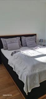 Miltenberg Ferienhaus - 1