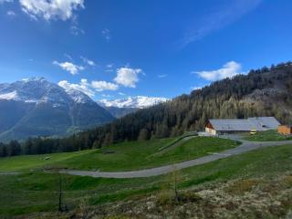 Alp Es-Cha Dadour - Madulain - 9