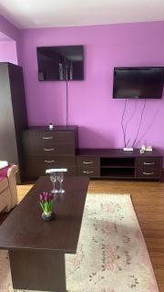 Eleonor Mountain Studio - Bansko - 7