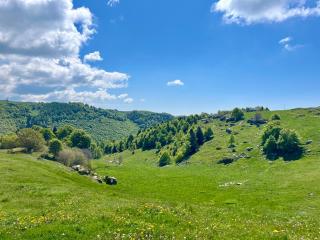 Chalet I Porsili - 7