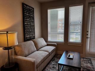 Luxury Resort Style Pool Apt - Austin - 7