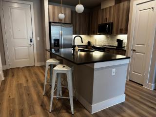 Luxury Resort Style Pool Apt - Austin - 5