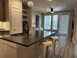 Luxury Resort Style Pool Apt - Austin - 4