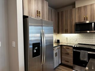 Luxury Resort Style Pool Apt - Austin - 3