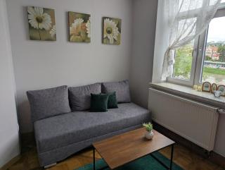 Downtown Riverview apartment - Przemyśl - 5