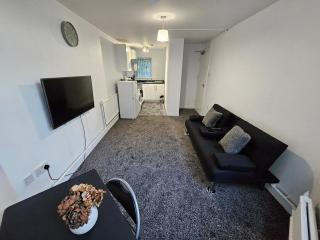 Furnished 1 BR Apt in Liverpool - Liverpool - 2