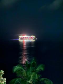 Blue Mountain Villa - Le Carbet - 7