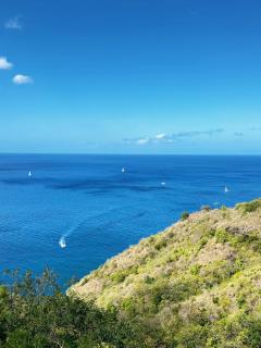 Blue Mountain Villa - 7