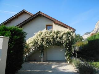 Appartement dans maison avec jardin privé - La Terrasse - 6