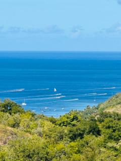 Blue Mountain Villa - 8