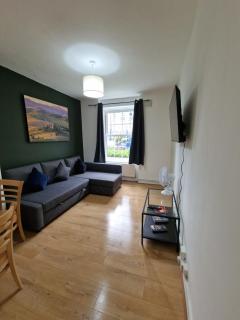 Cozy and well located 2 bedrooms flat - Oval - Central London - Londra - 7