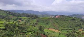 Jungle retreat hide away ph1 - Udagamandalam - 2