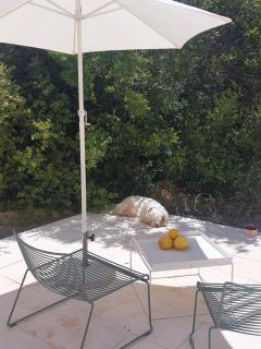 Spot Local - Moncarapacho - 6