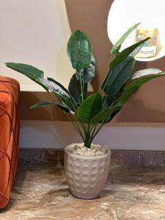 Luxe Nest Guest House Apartment 101 - 1