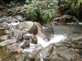 Oshi Villa - Ellagawa, Ingiriya - Eco Lodge - Ingiriya - 7